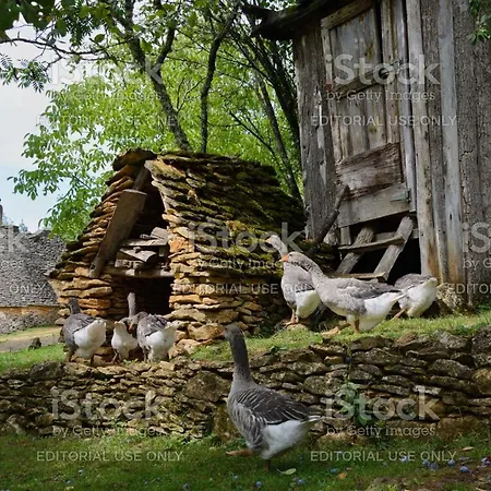 Studio2 Fontaine De L'amour Διαμέρισμα