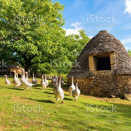 Studio2 Fontaine De L'amour *