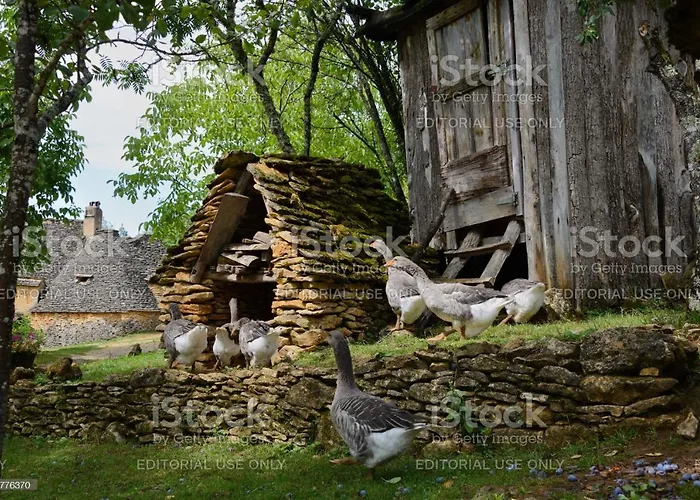 Studio2 Fontaine De L'amour Διαμέρισμα